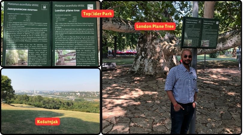 A man standing in front of Topčider Park and Košutnjak, surrounded by lush greenery and scenic pathways.