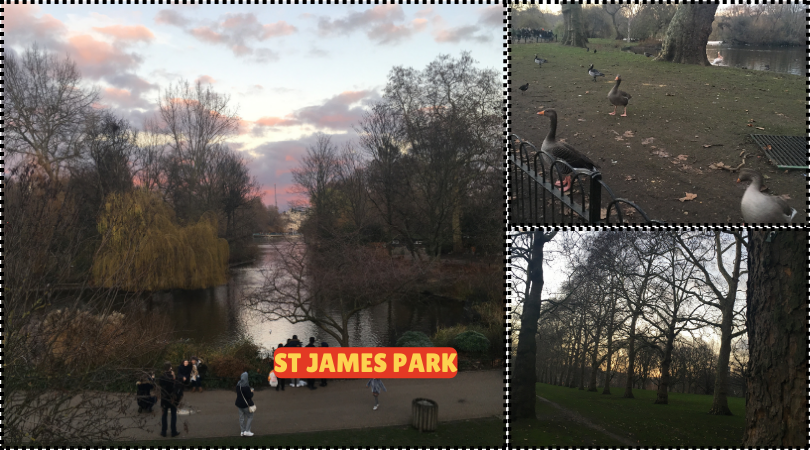 St. James's Park in London, featuring lush greenery, a lake, and views of Buckingham Palace.